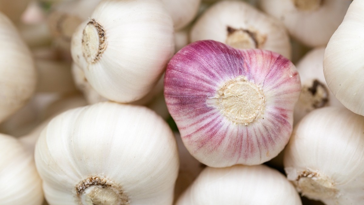 april is national garlic month 1200x675